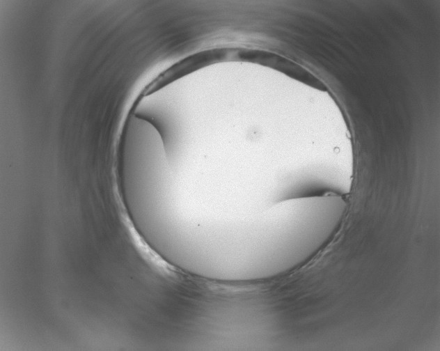 X0000076431152200611031833