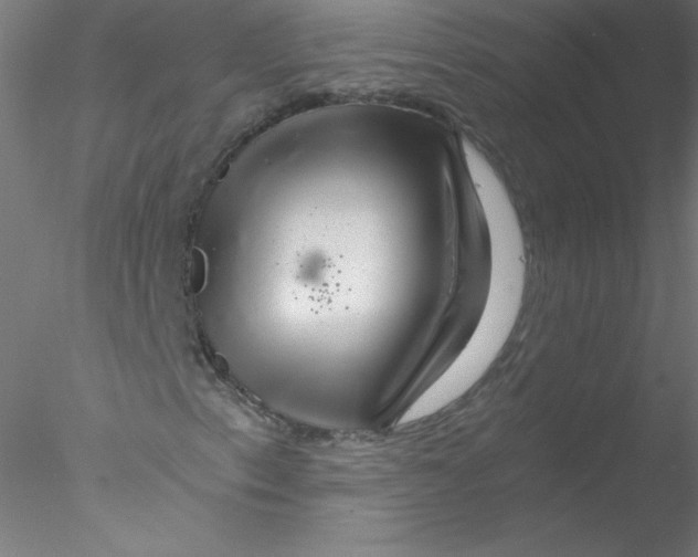 X0000076431153200611031832