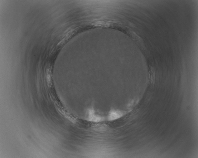 X0000076431154200611031832