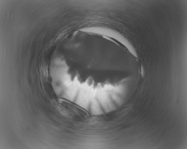 X0000076431155200611031832