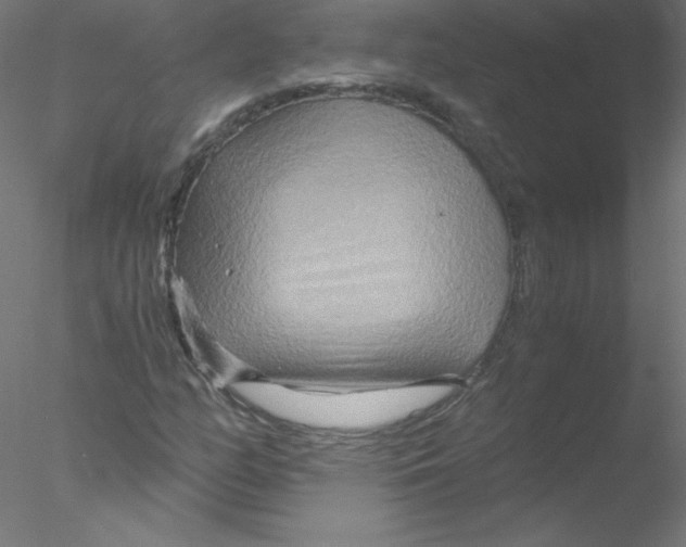 X0000076431158200611031832