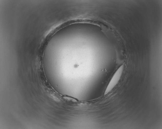 X0000076431160200611031832