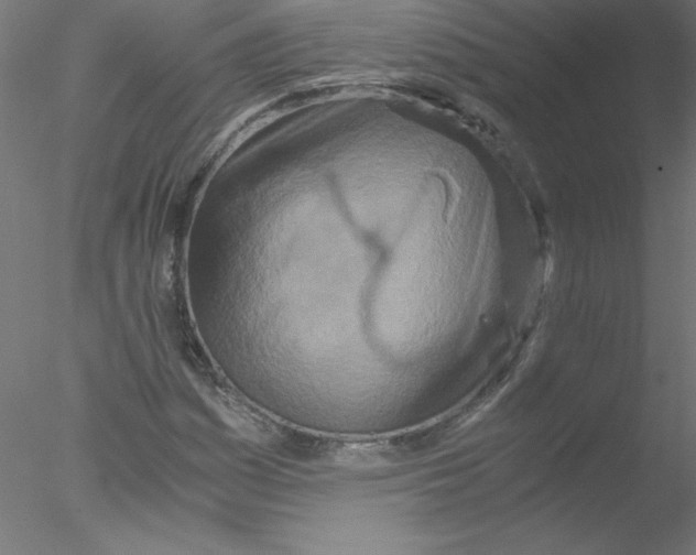 X0000076431161200611031832