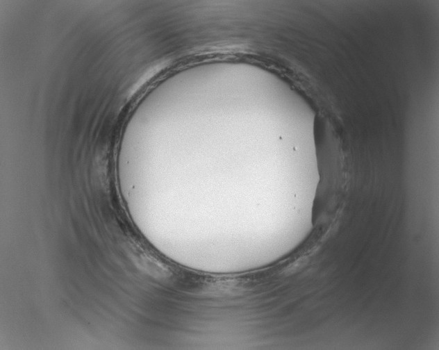 X0000076431162200611031832