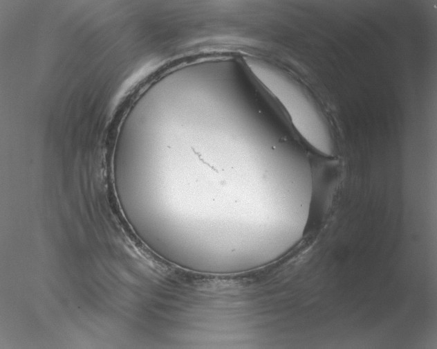 X0000076431164200611031832