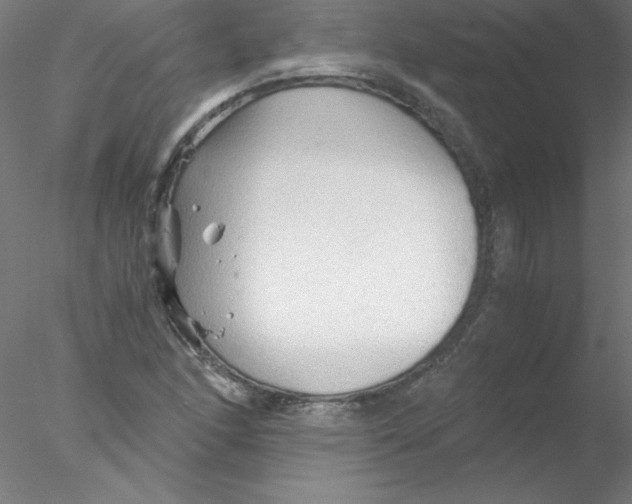 X0000076431166200611031832