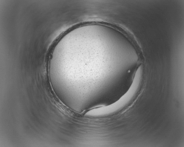 X0000076431167200611031832