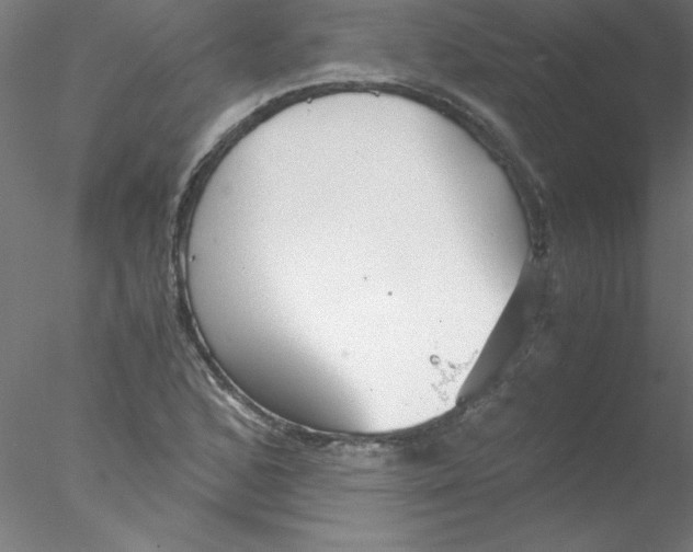 X0000076431168200611031832