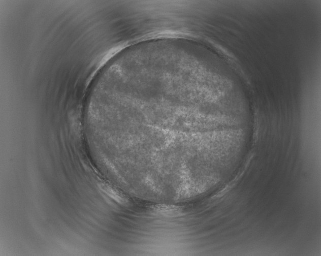 X0000076431170200611031832