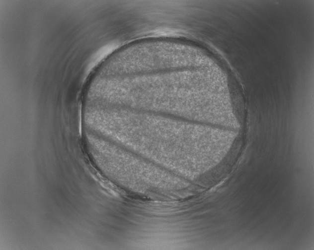 X0000076431171200611031832