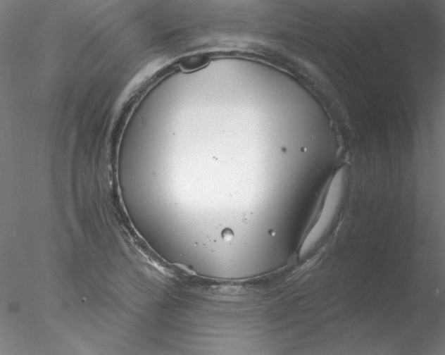 X0000076431172200611031832