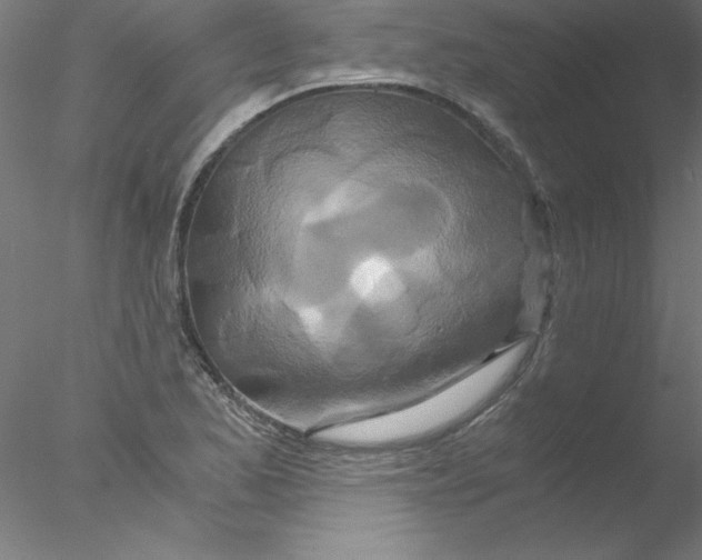 X0000076431173200611031832