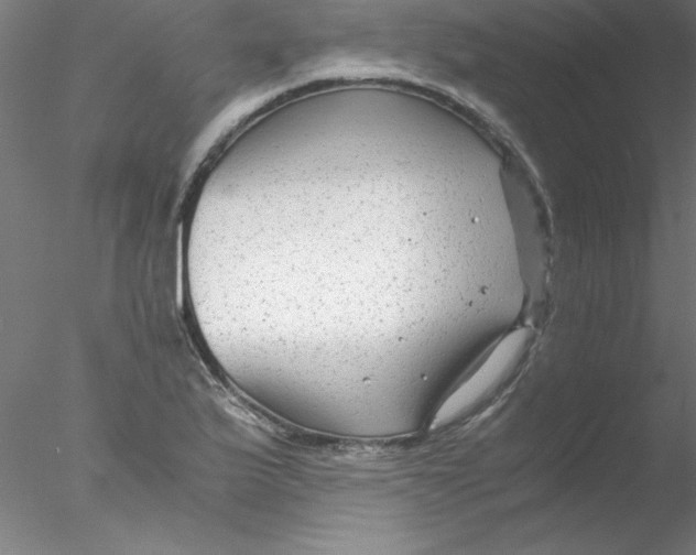 X0000076431175200611031832