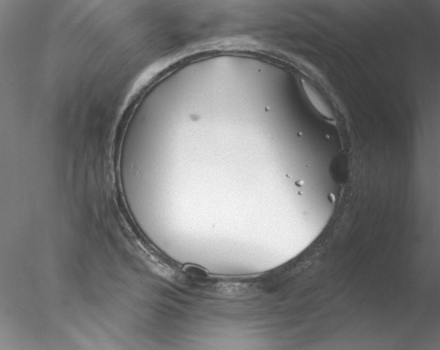 X0000076431176200611031832