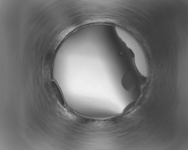 X0000076431177200611031832