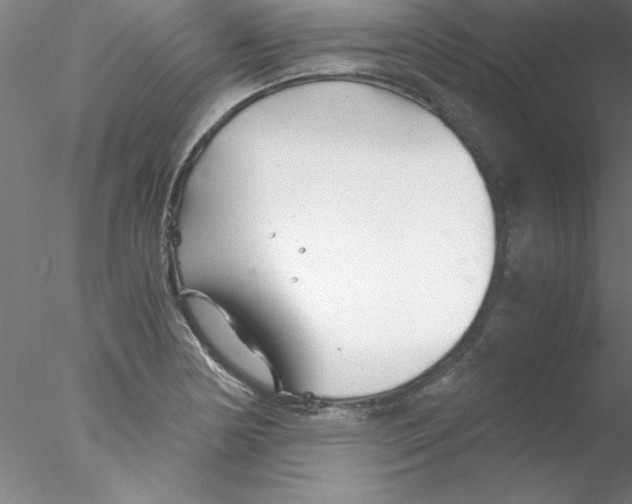 X0000076431178200611031832