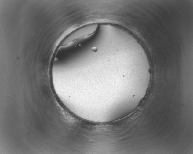 X0000076431181200611031831