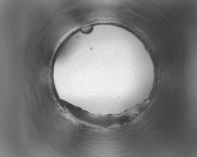 X0000076431182200611031831