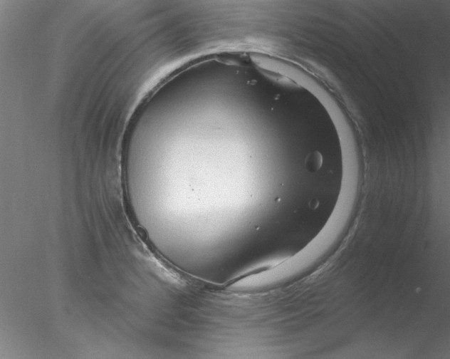 X0000076431184200611031831