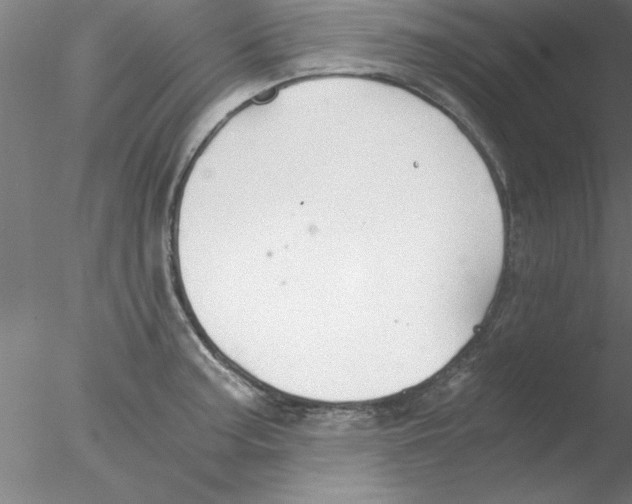 X0000076431187200611031831