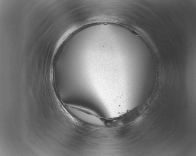 X0000076431188200611031831