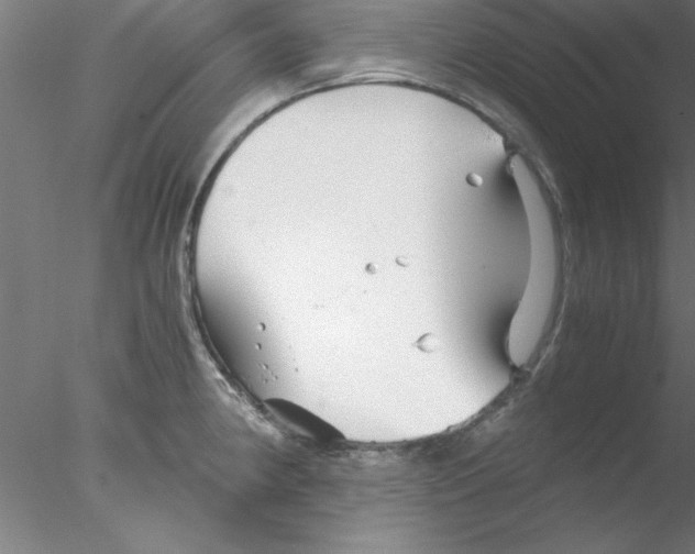 X0000076431190200611031831