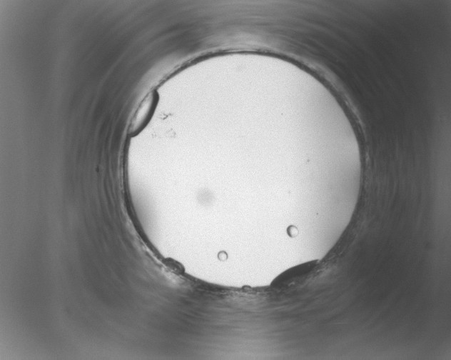 X0000076431191200611031831