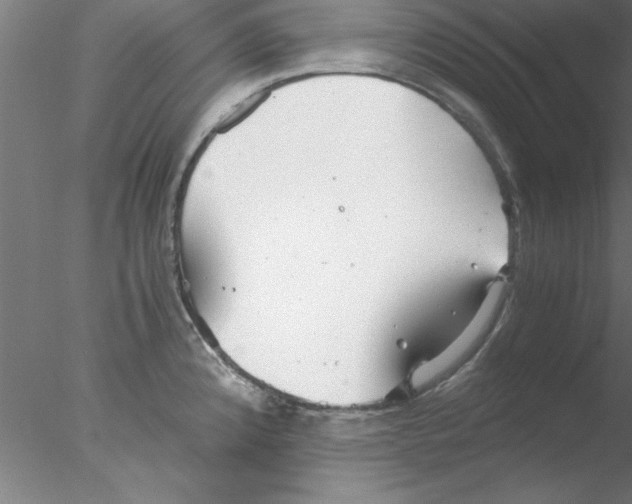 X0000076431192200611031831