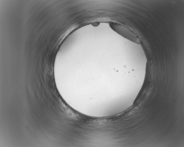 X0000076431193200611031831