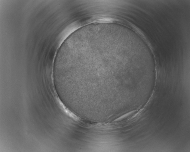 X0000076431194200611031831