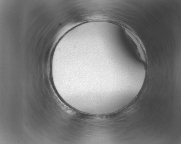 X0000076431195200611031831