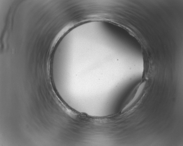 X0000076431196200611031831