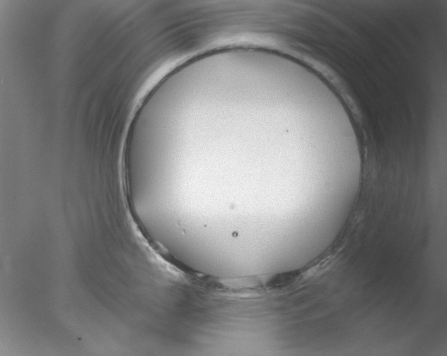 X0000076431199200611031831