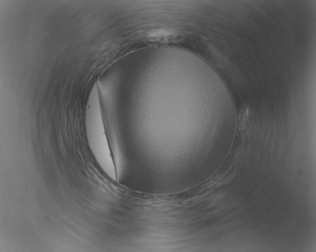 X0000076431202200611031830