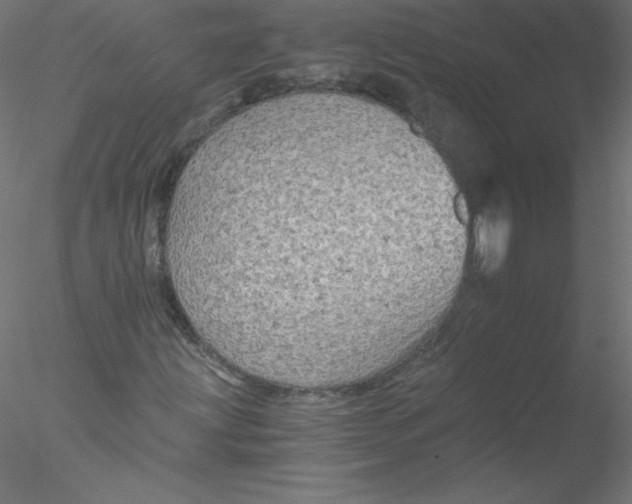 X0000076431203200611031830