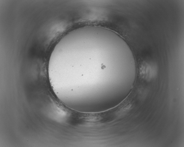 X0000076431204200611031830