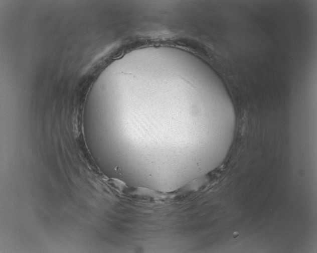 X0000076431205200611031830