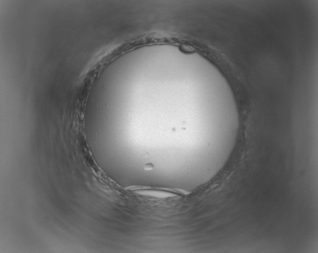 X0000076431207200611031830