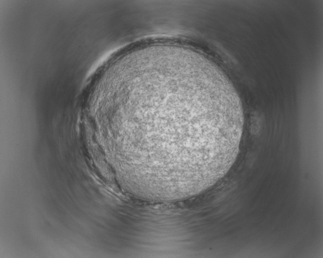 X0000076431208200611031830