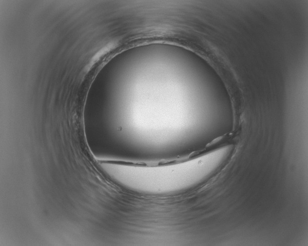 X0000076431210200611031831