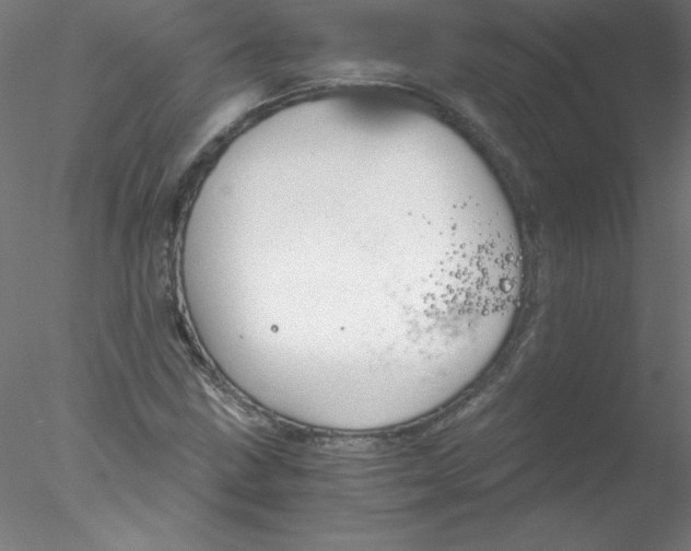 X0000076431211200611031831