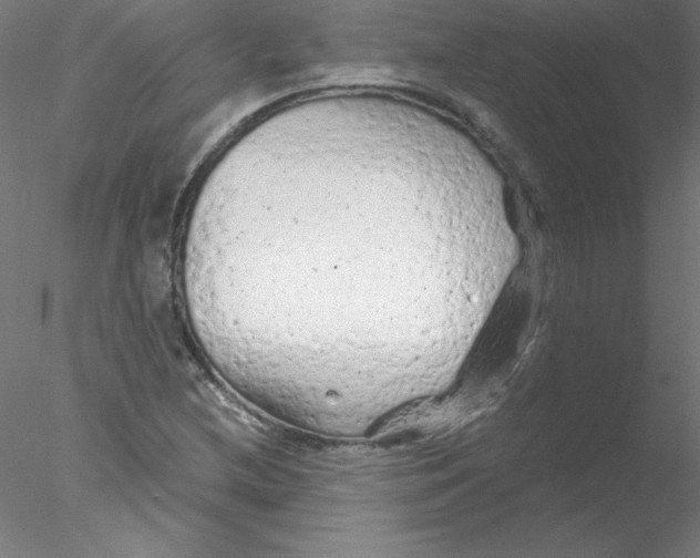 X0000076431212200611031831