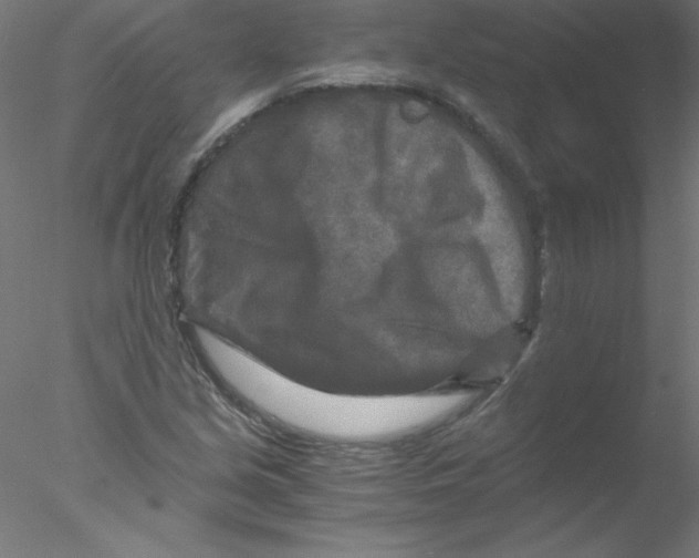 X0000076431213200611031831