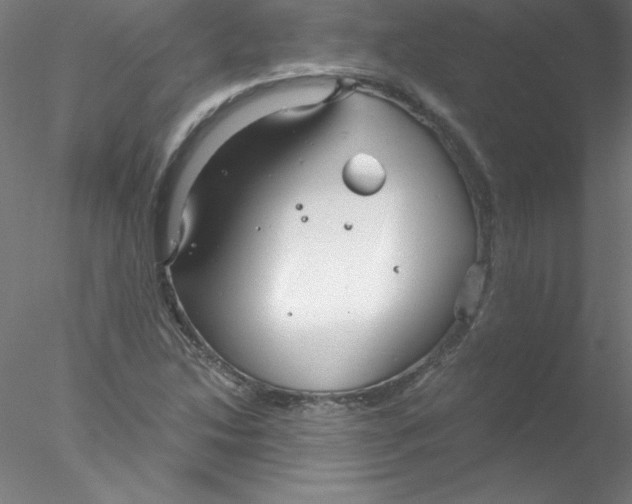 X0000076431214200611031831