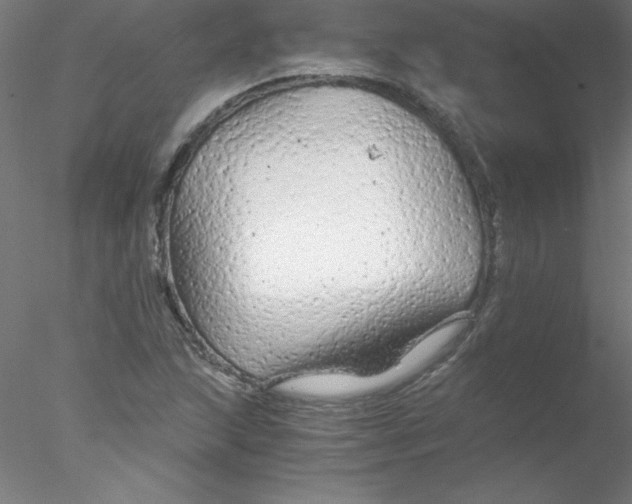 X0000076431215200611031831