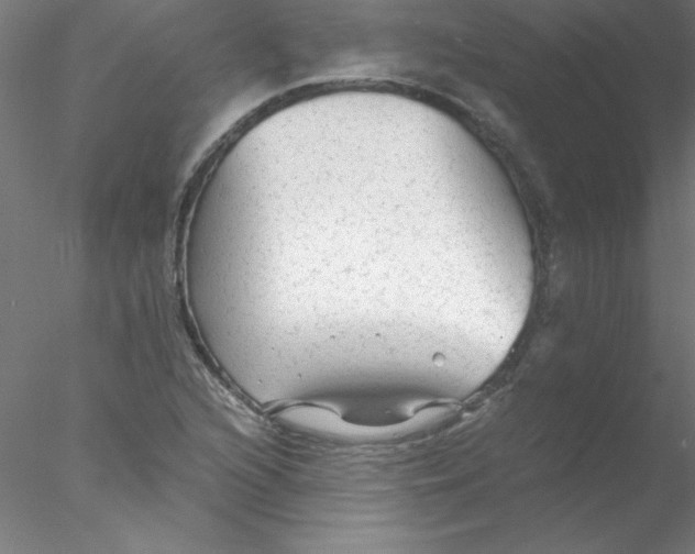 X0000076431216200611031831