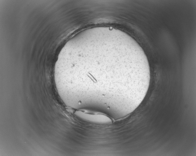 X0000076431217200611031831