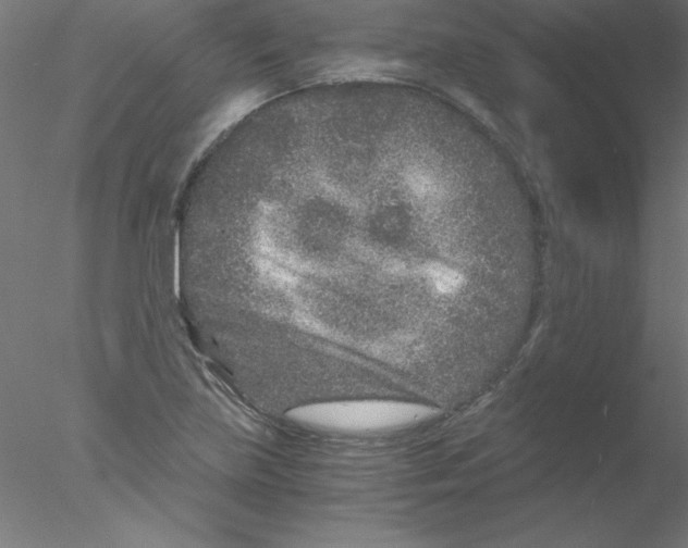 X0000076431219200611031831