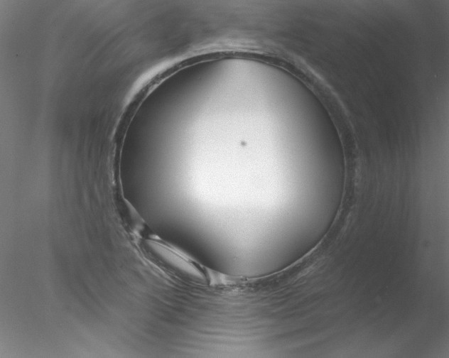 X0000076431222200611031831