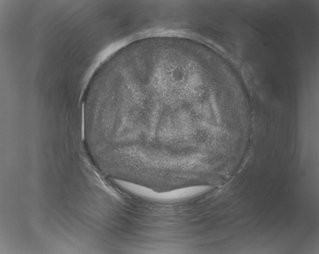 X0000076431223200611031831